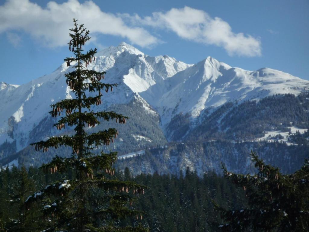 Moutain View Lejlighed Laax Eksteriør billede